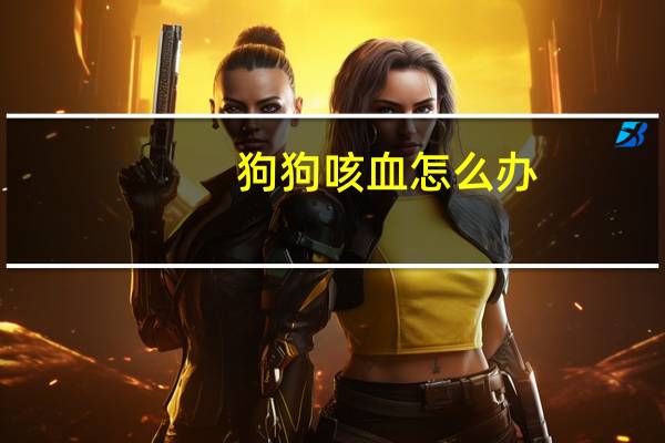 狗狗咳血怎么办