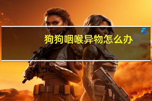 狗狗咽喉异物怎么办