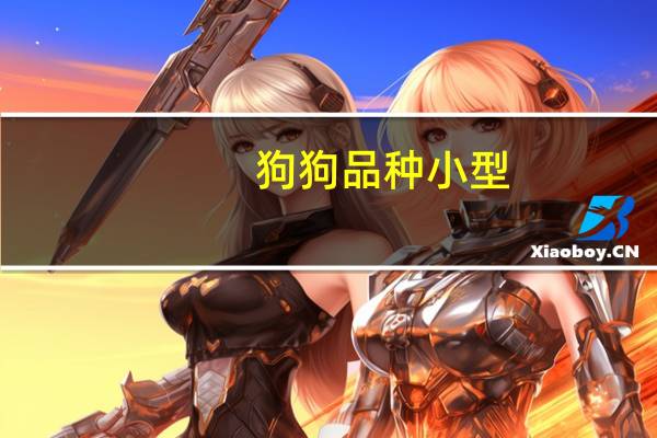 狗狗品种小型