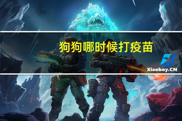 狗狗哪时候打疫苗