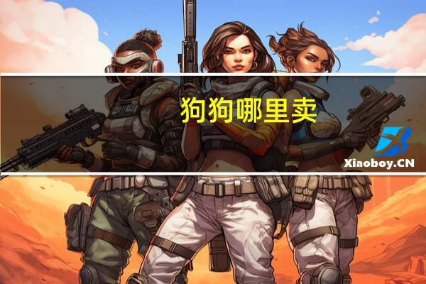 狗狗哪里卖