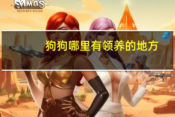 狗狗哪里有领养的地方