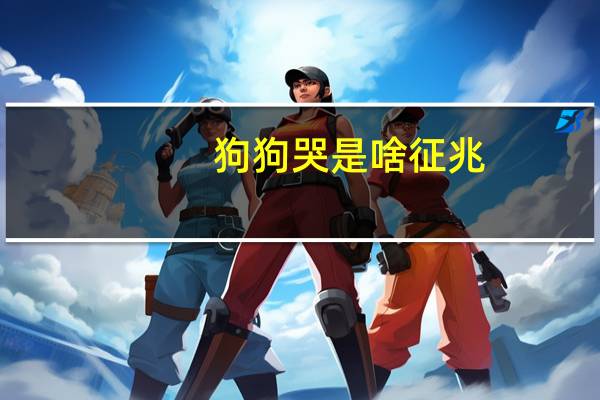 狗狗哭是啥征兆