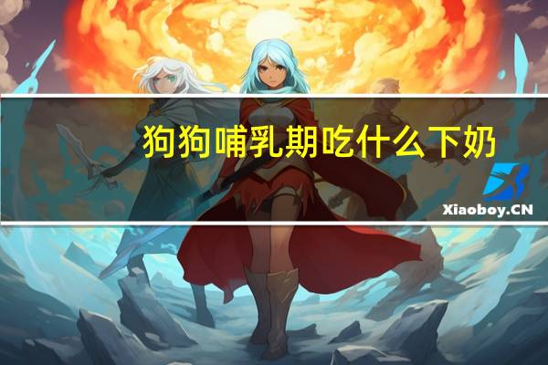 狗狗哺乳期吃什么下奶
