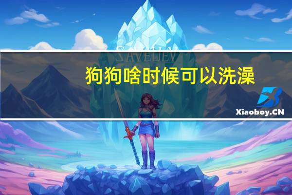 狗狗啥时候可以洗澡