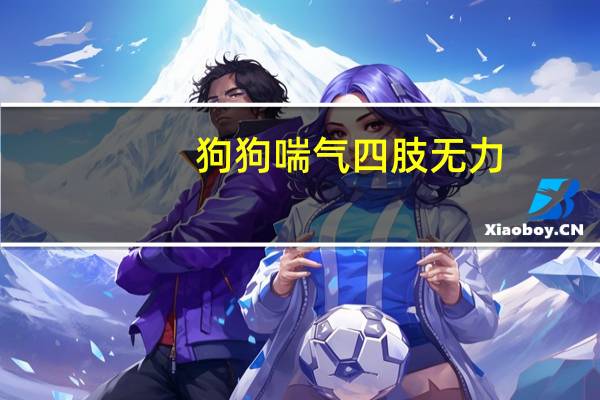狗狗喘气四肢无力
