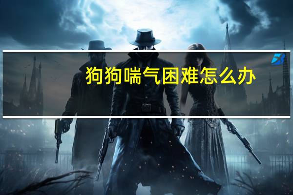 狗狗喘气困难怎么办
