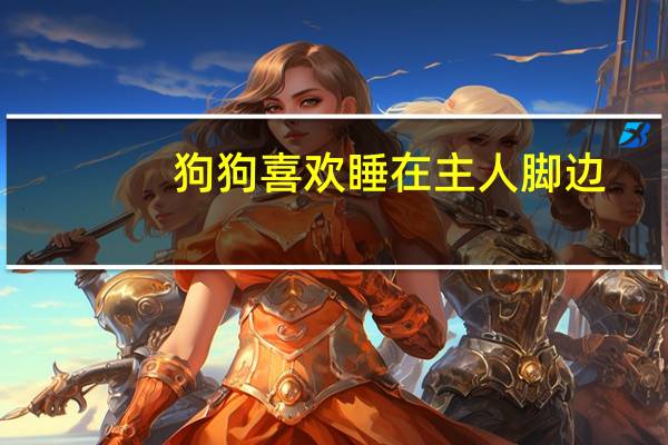 狗狗喜欢睡在主人脚边