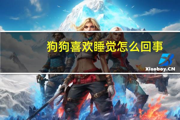 狗狗喜欢睡觉怎么回事