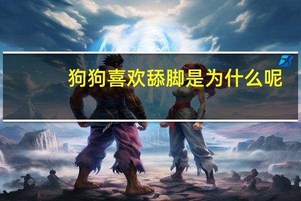狗狗喜欢舔脚是为什么呢