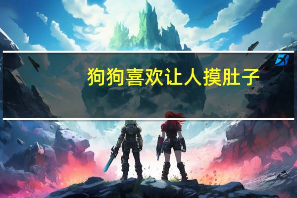 狗狗喜欢让人摸肚子
