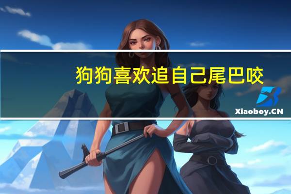 狗狗喜欢追自己尾巴咬