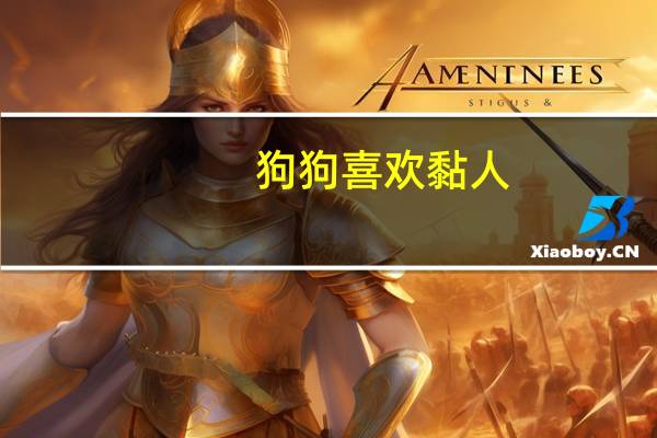 狗狗喜欢黏人
