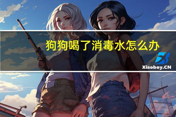 狗狗喝了消毒水怎么办