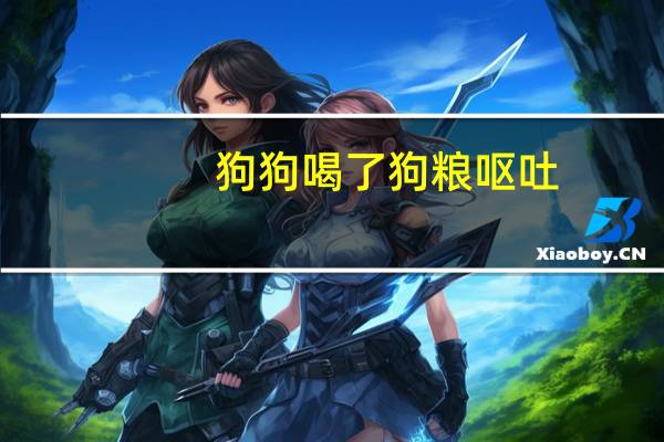 狗狗喝了狗粮呕吐