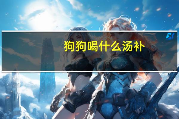 狗狗喝什么汤补