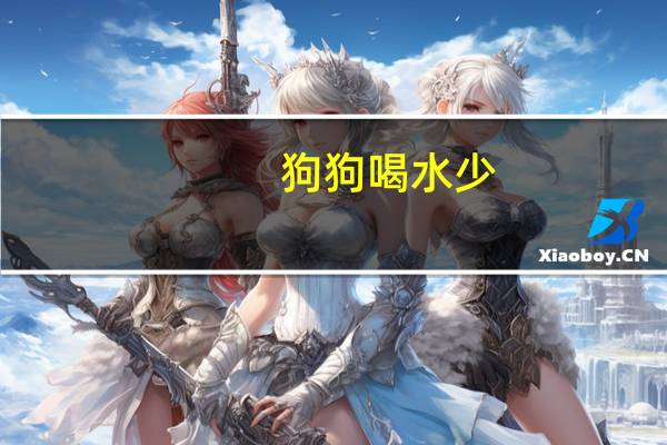 狗狗喝水少