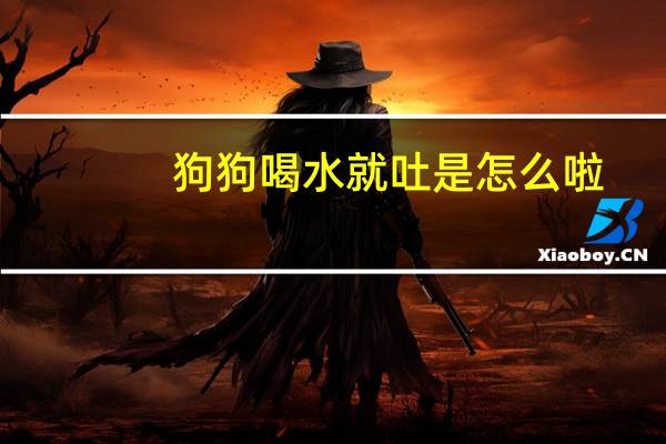 狗狗喝水就吐是怎么啦