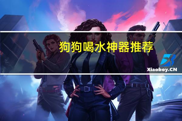狗狗喝水神器推荐