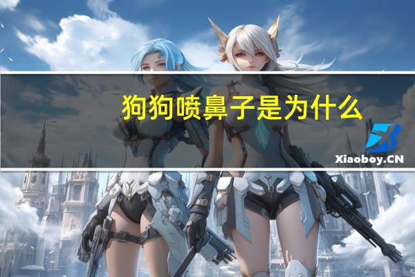 狗狗喷鼻子是为什么