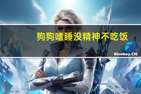 狗狗嗜睡没精神不吃饭