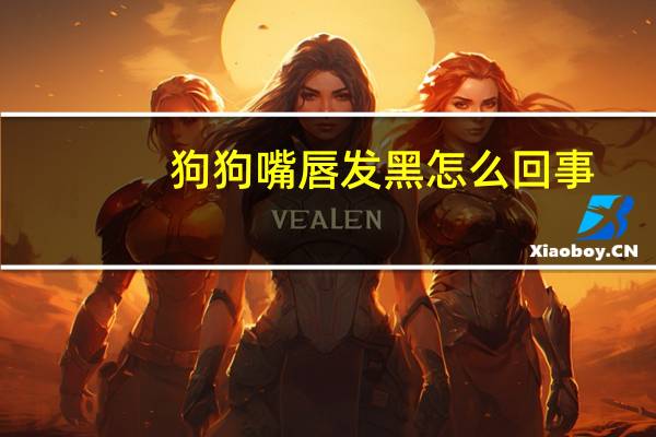 狗狗嘴唇发黑怎么回事