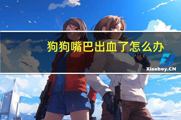 狗狗嘴巴出血了怎么办