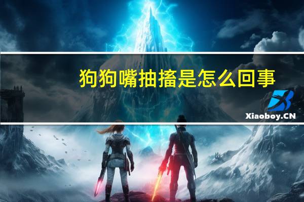 狗狗嘴抽搐是怎么回事