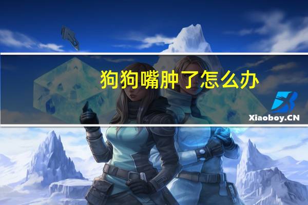狗狗嘴肿了怎么办