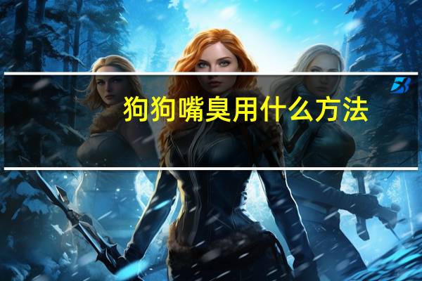 狗狗嘴臭用什么方法