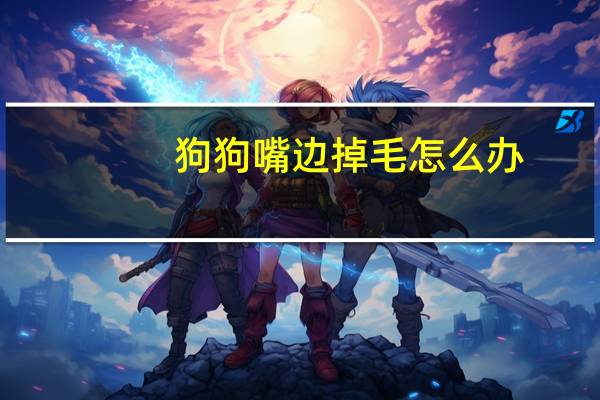狗狗嘴边掉毛怎么办