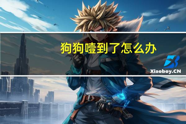 狗狗噎到了怎么办