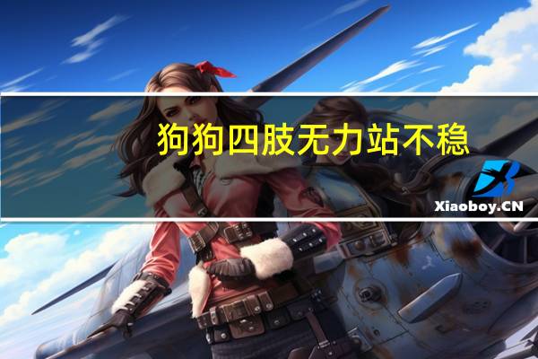 狗狗四肢无力站不稳