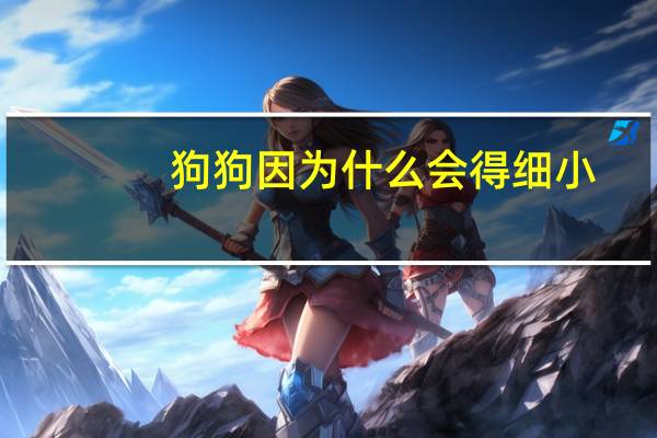 狗狗因为什么会得细小