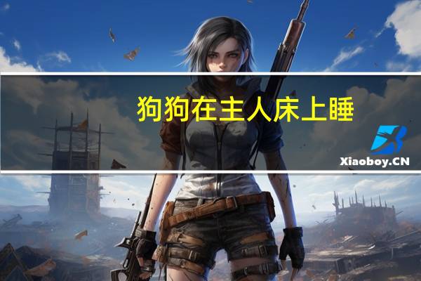 狗狗在主人床上睡