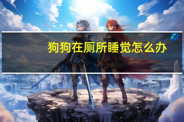 狗狗在厕所睡觉怎么办