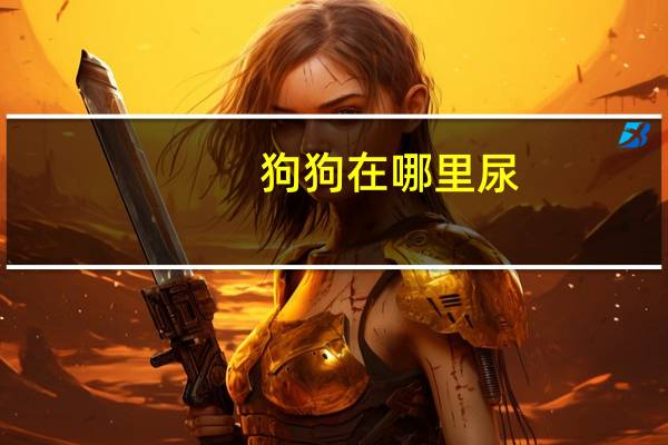 狗狗在哪里尿