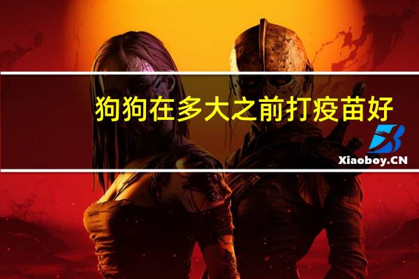 狗狗在多大之前打疫苗好