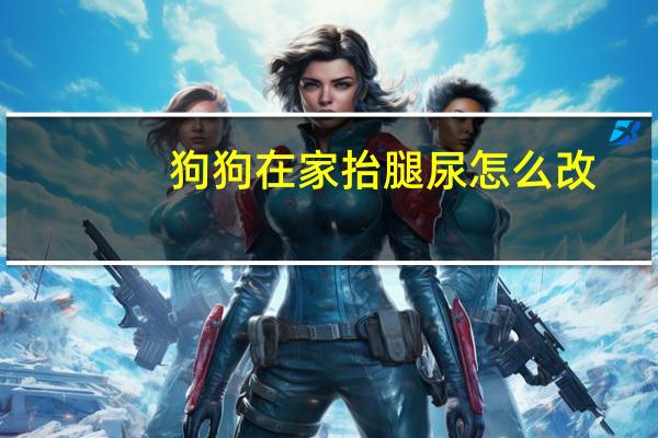 狗狗在家抬腿尿怎么改