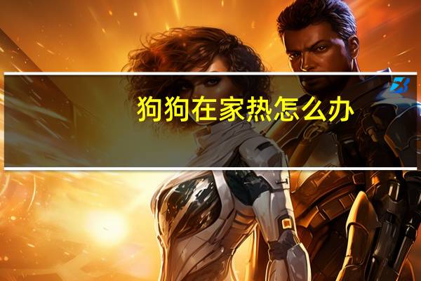 狗狗在家热怎么办
