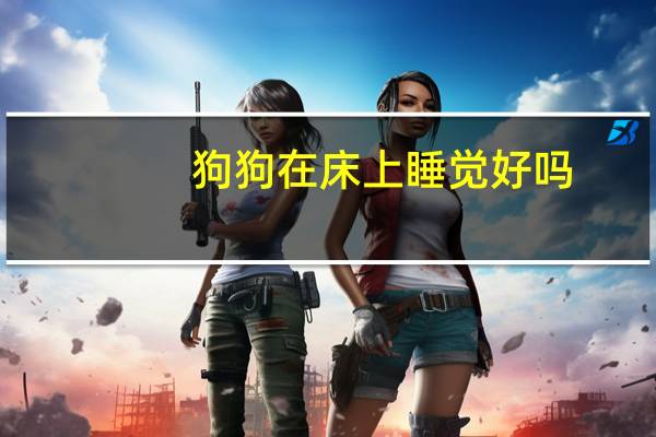 狗狗在床上睡觉好吗