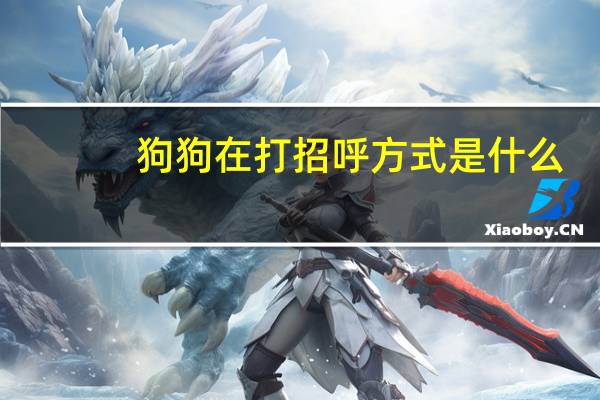 狗狗在打招呼方式是什么