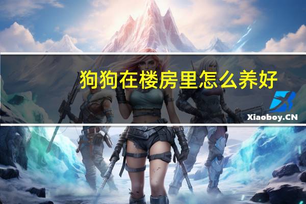 狗狗在楼房里怎么养好