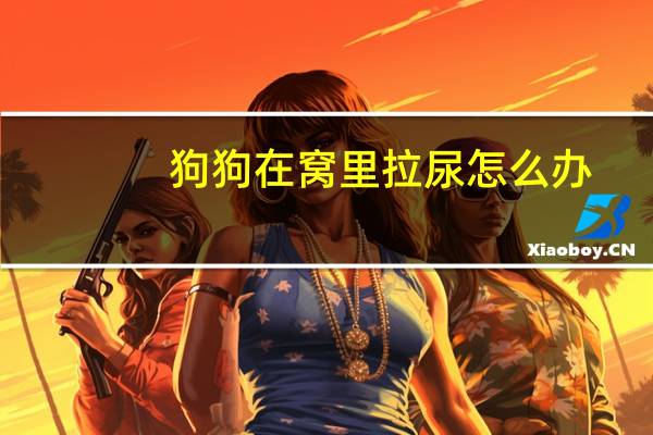 狗狗在窝里拉尿怎么办