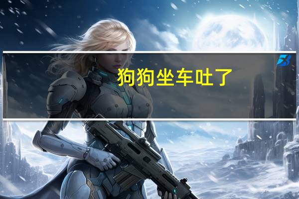 狗狗坐车吐了