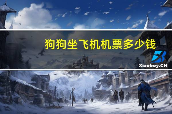 狗狗坐飞机机票多少钱