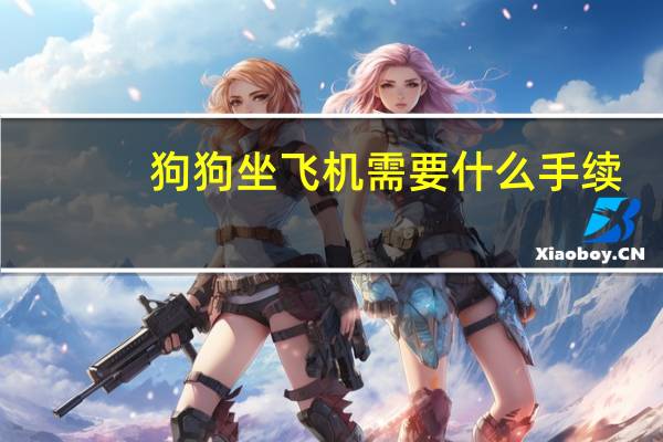 狗狗坐飞机需要什么手续