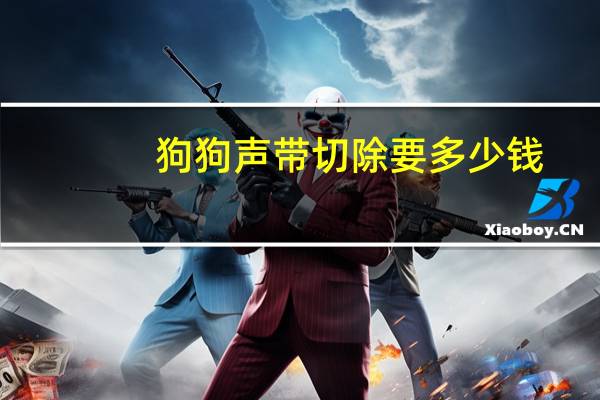 狗狗声带切除要多少钱