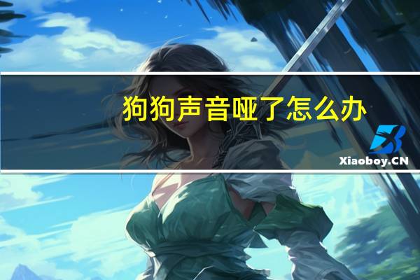 狗狗声音哑了怎么办
