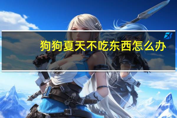 狗狗夏天不吃东西怎么办